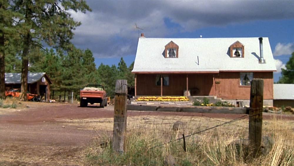 愛と栄光の旅立ち／アメリカン・デュエットの画像