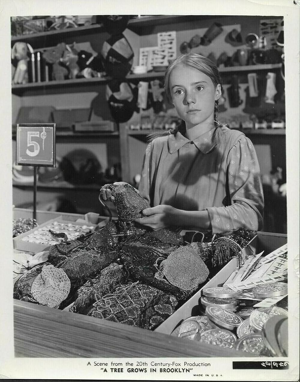 ブルックリン横町の画像