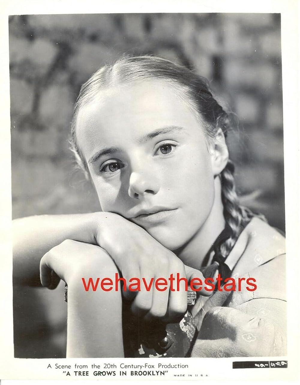 ブルックリン横町の画像