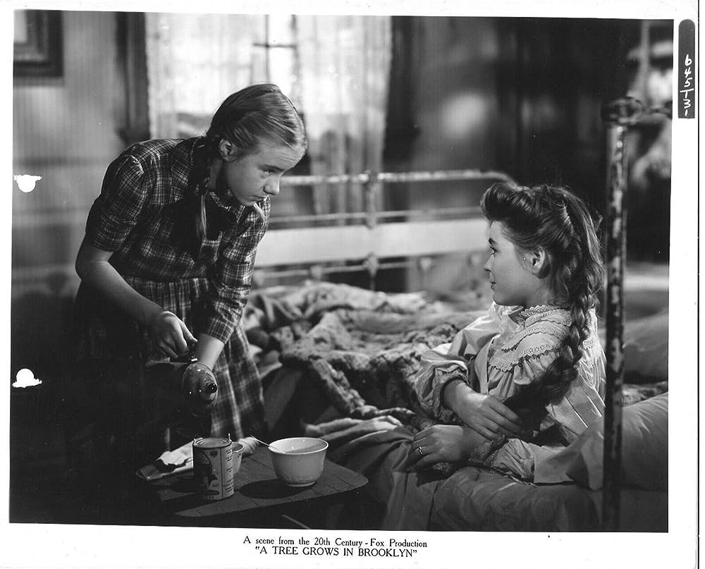 ブルックリン横町の画像