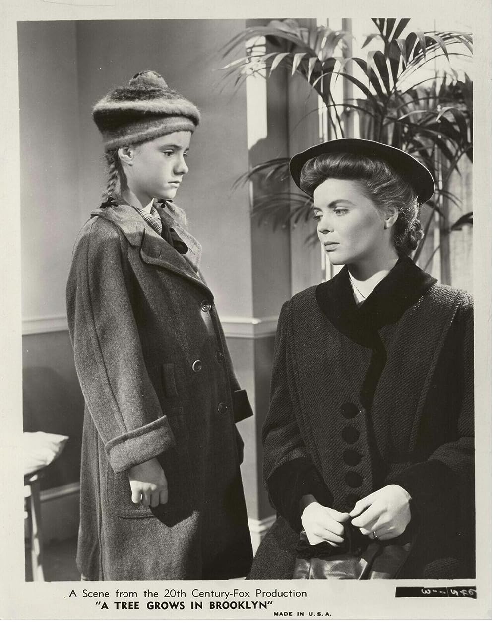 ブルックリン横町の画像