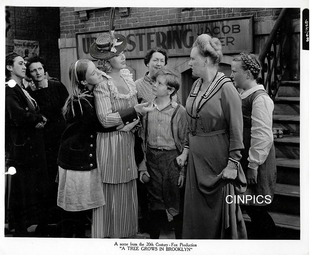 ブルックリン横町の画像