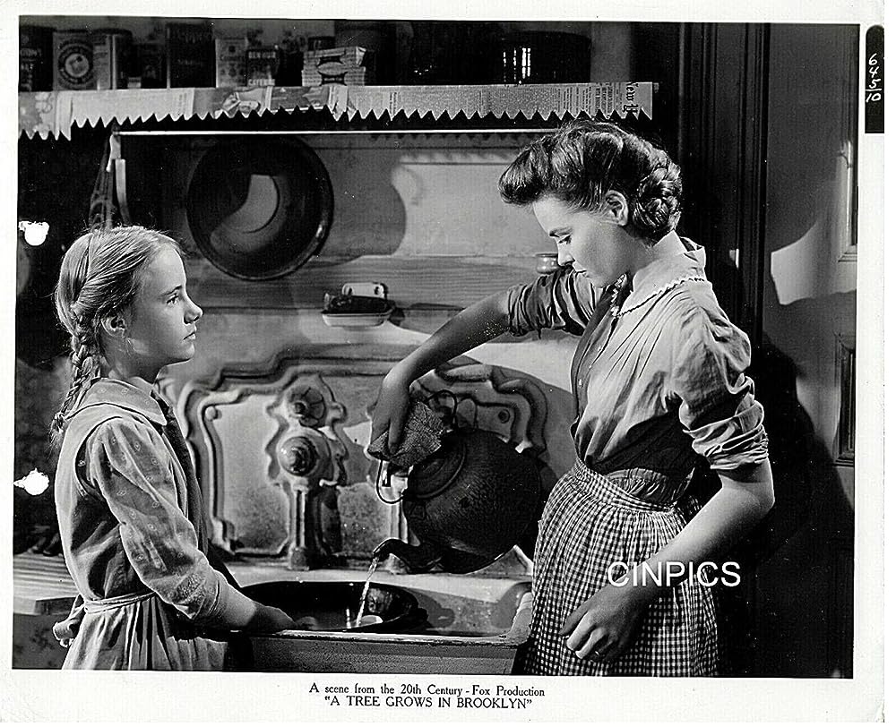 ブルックリン横町の画像