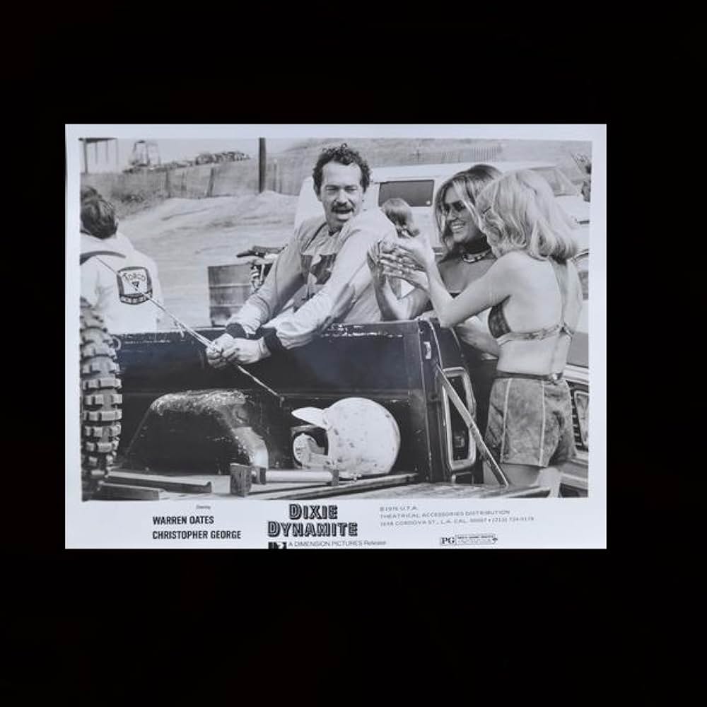 ウーマン・リベンジャー／復讐の美女姉妹体当りスーパーバイオレンスの画像