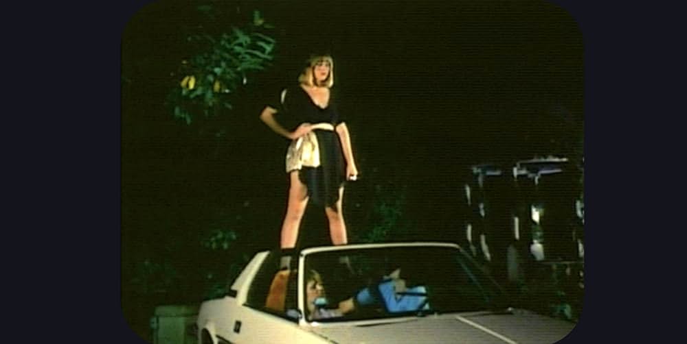 宇宙からの誘惑／エイリアン・シスターズの画像