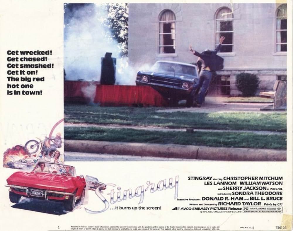 赤いスティングレーを追え！の画像