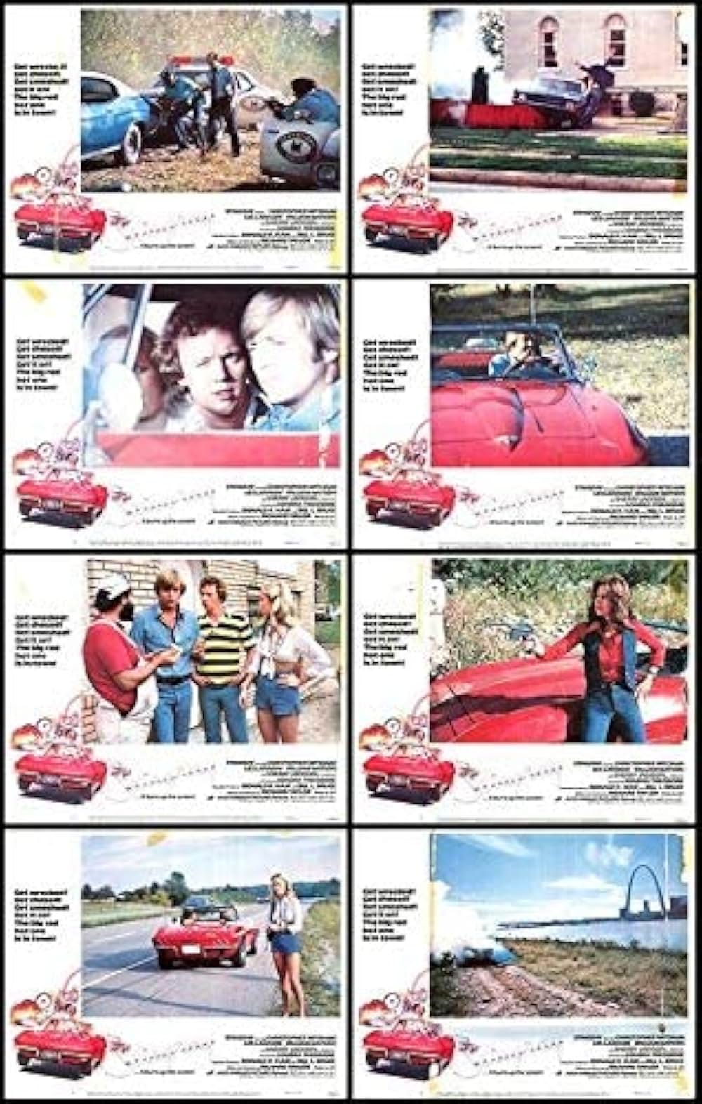 赤いスティングレーを追え！の画像