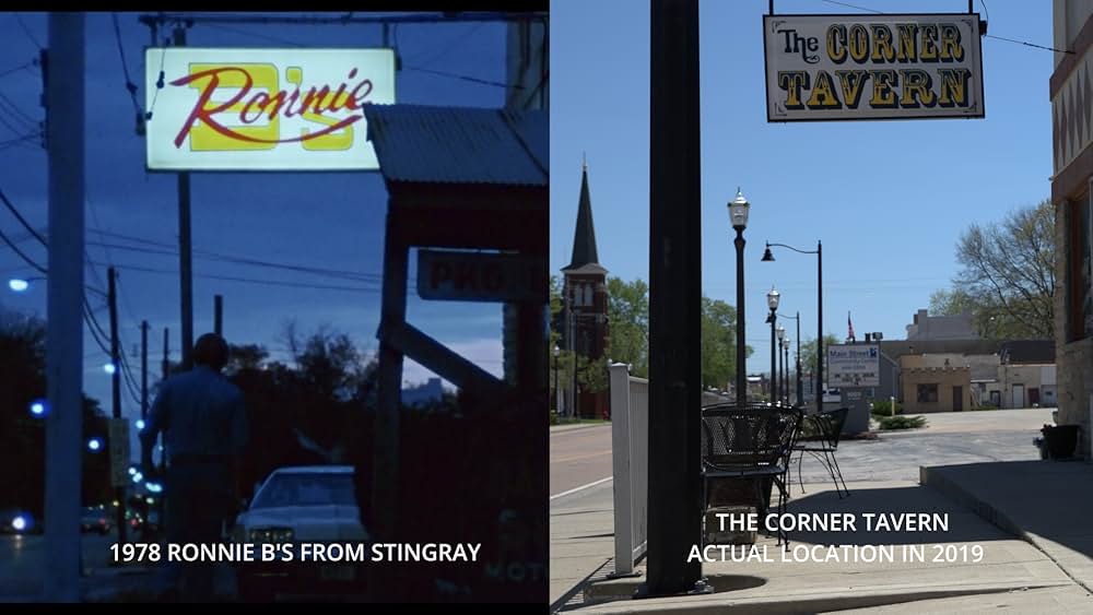 赤いスティングレーを追え！の画像