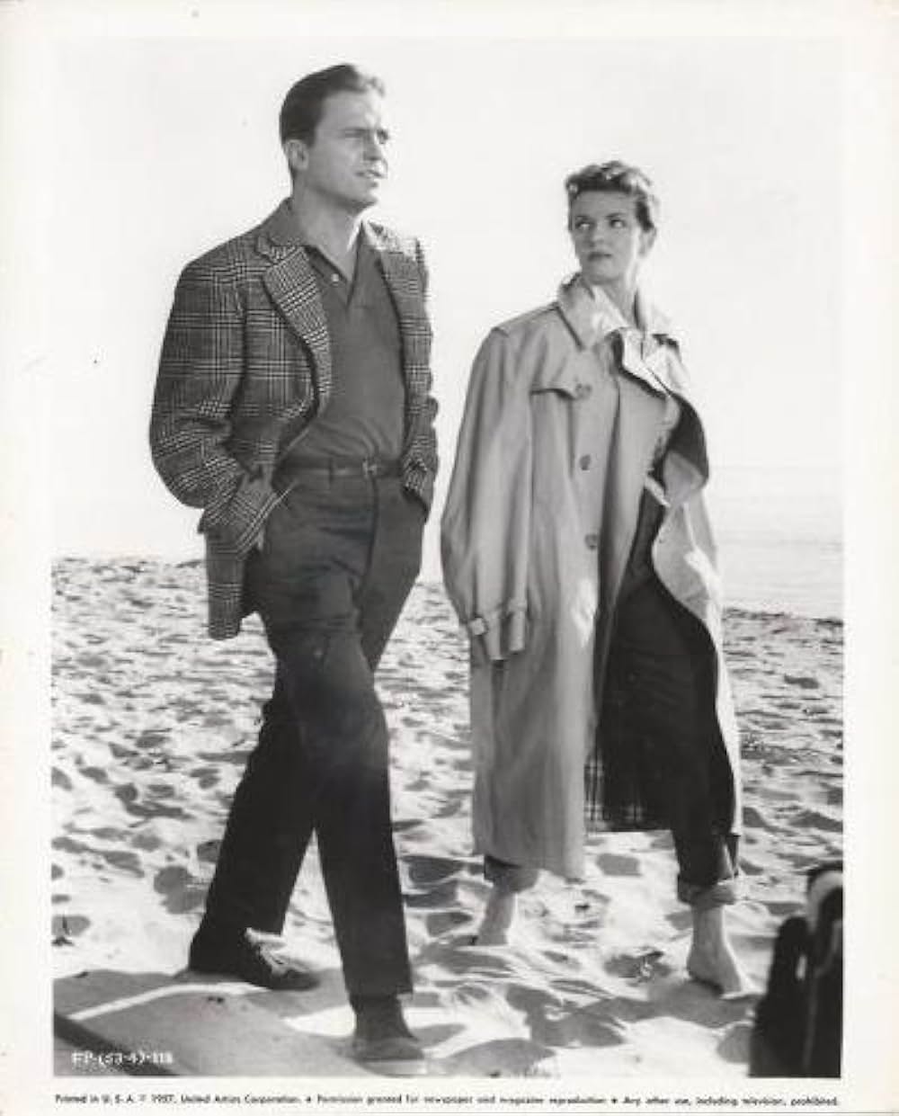 さらわれた花嫁の画像