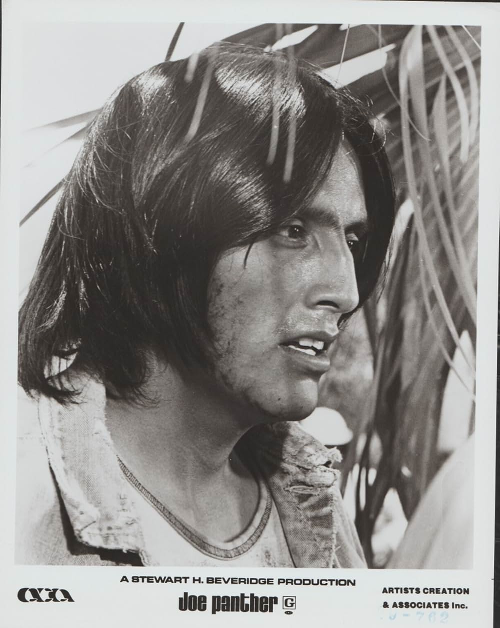 出立ちの詩／ジョー・パンサーの青春の画像