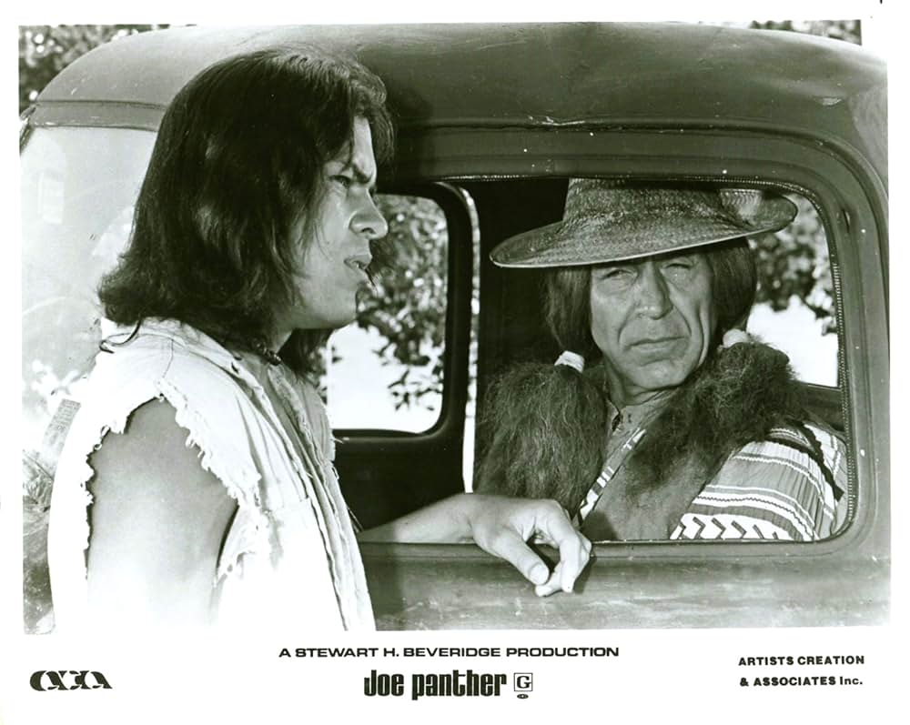 出立ちの詩／ジョー・パンサーの青春の画像