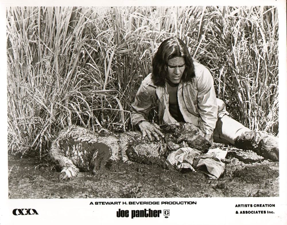 出立ちの詩／ジョー・パンサーの青春の画像