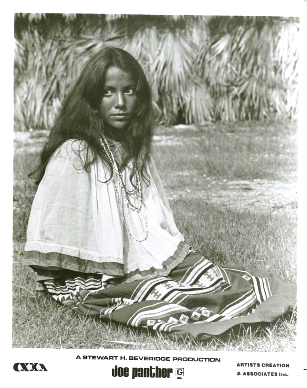 出立ちの詩／ジョー・パンサーの青春の画像