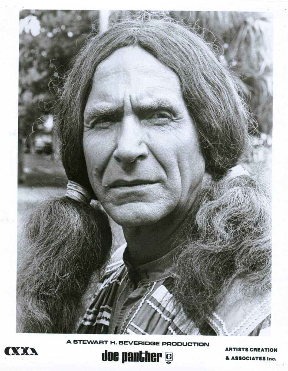 出立ちの詩／ジョー・パンサーの青春の画像