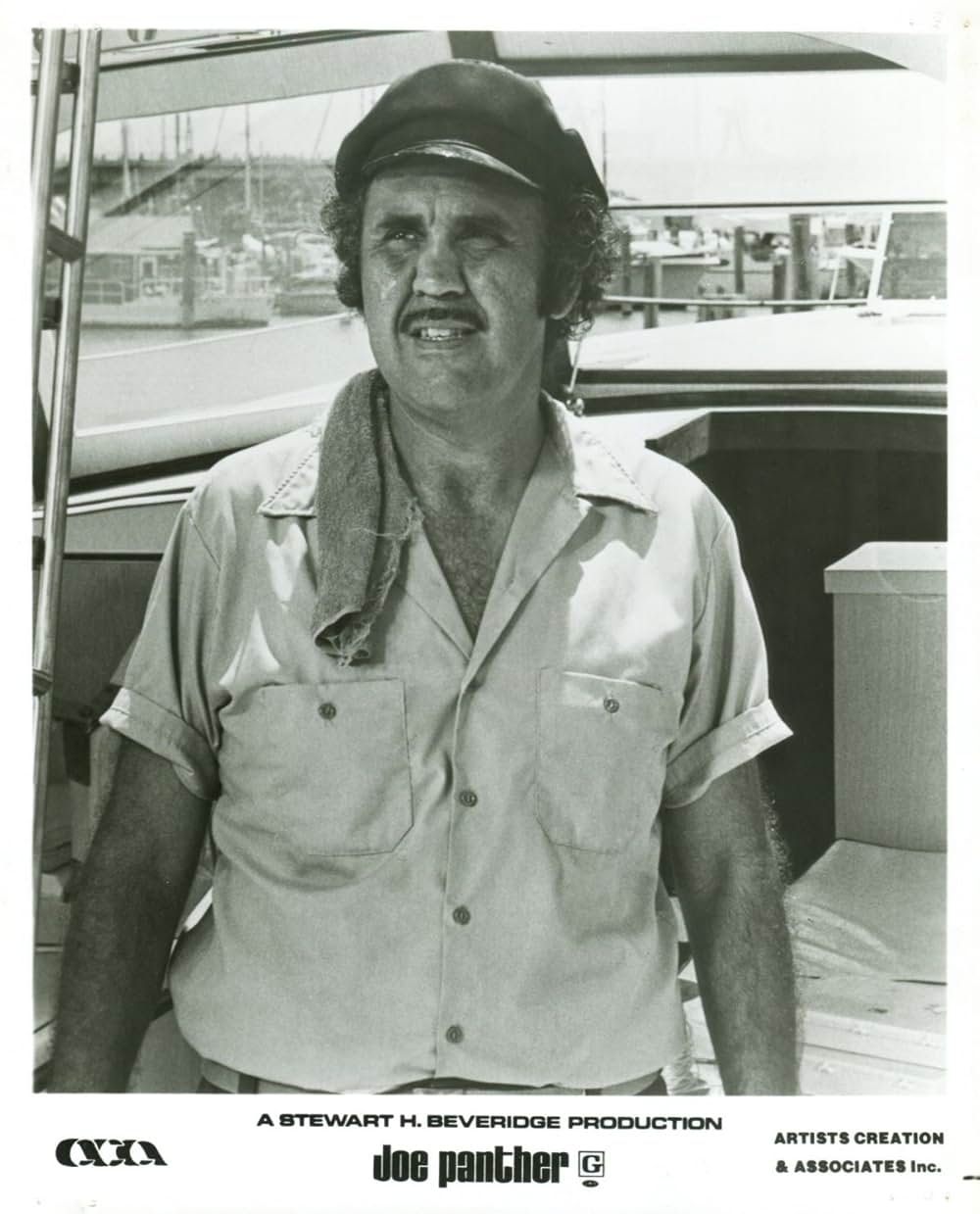 出立ちの詩／ジョー・パンサーの青春の画像