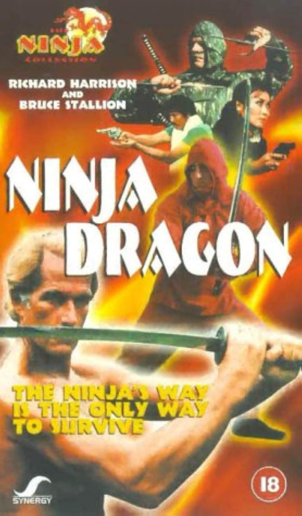 暗黒街の忍者の画像