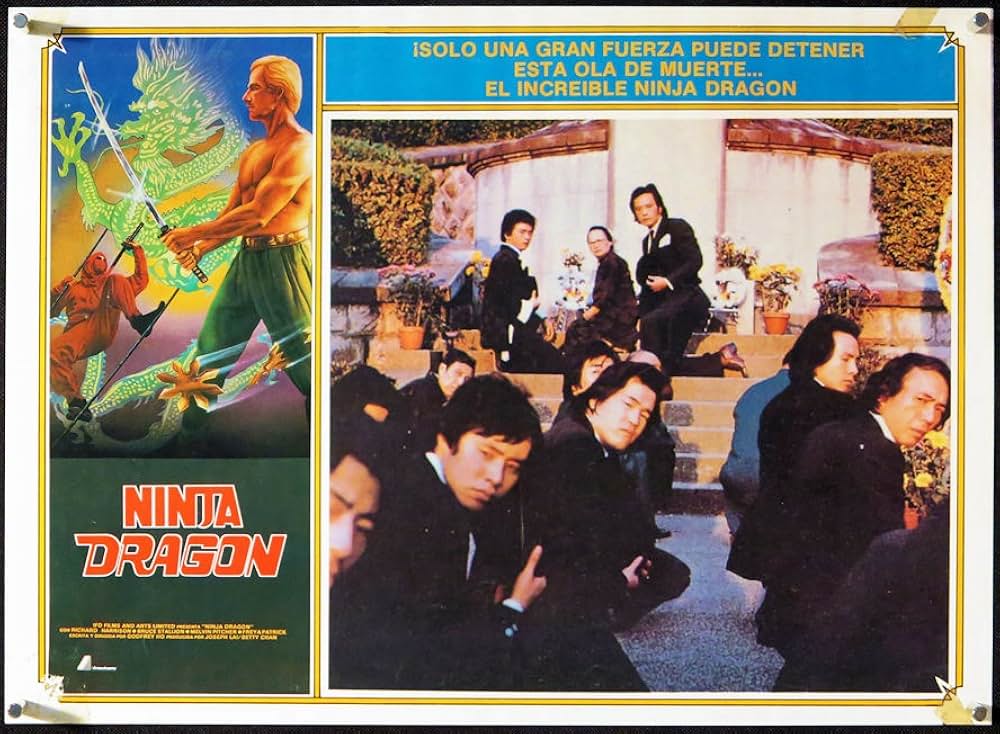 暗黒街の忍者の画像