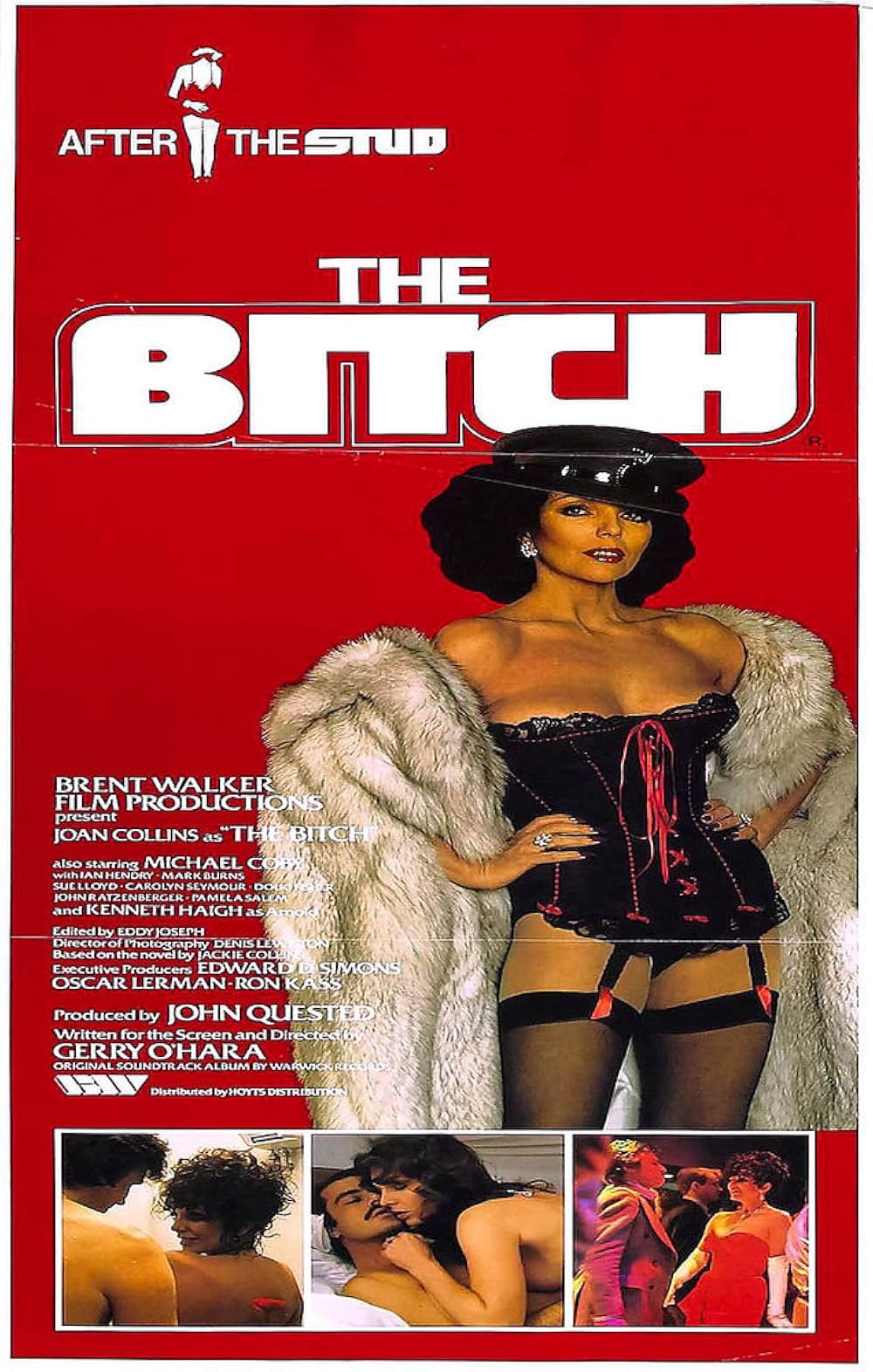 ザ・ビッチ／淫らな欲望の画像