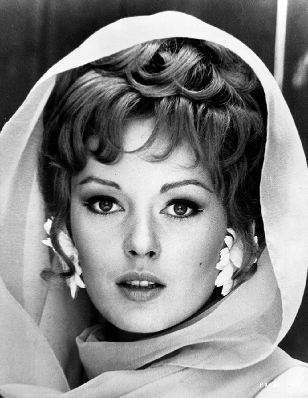 愛して愛して子猫ちゃんの画像