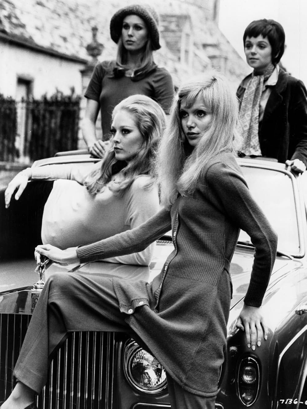 愛して愛して子猫ちゃんの画像