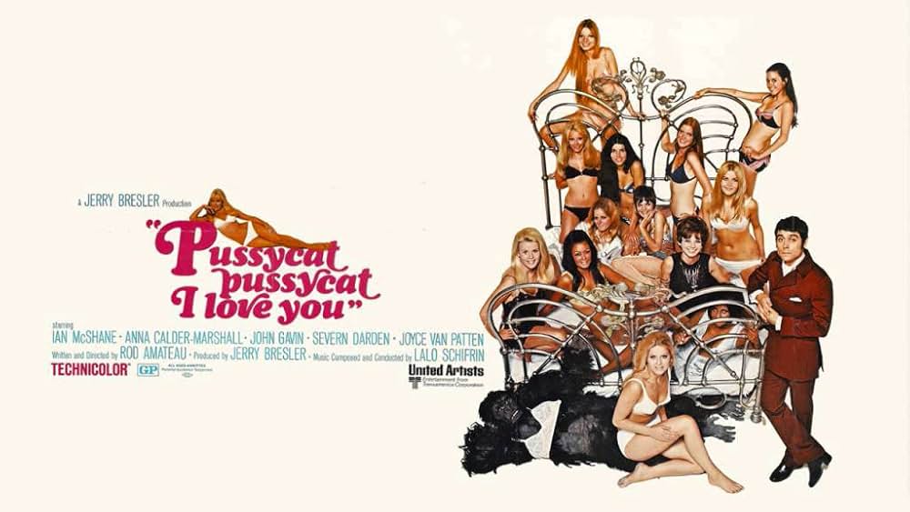 愛して愛して子猫ちゃんの画像