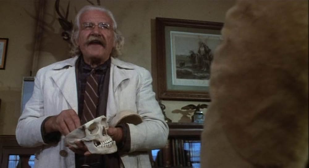 霧の中の殺人者の画像