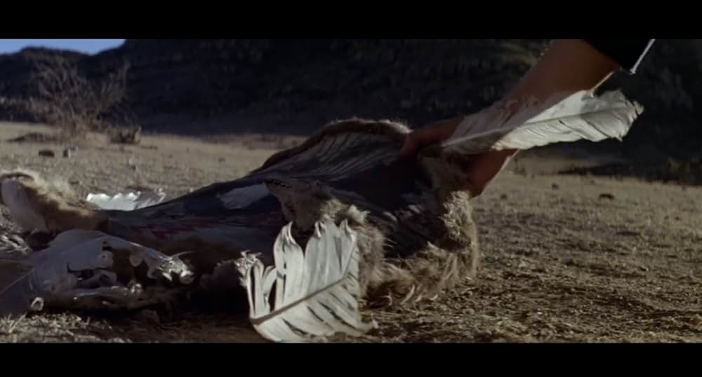 イーグルス・ウィングの画像