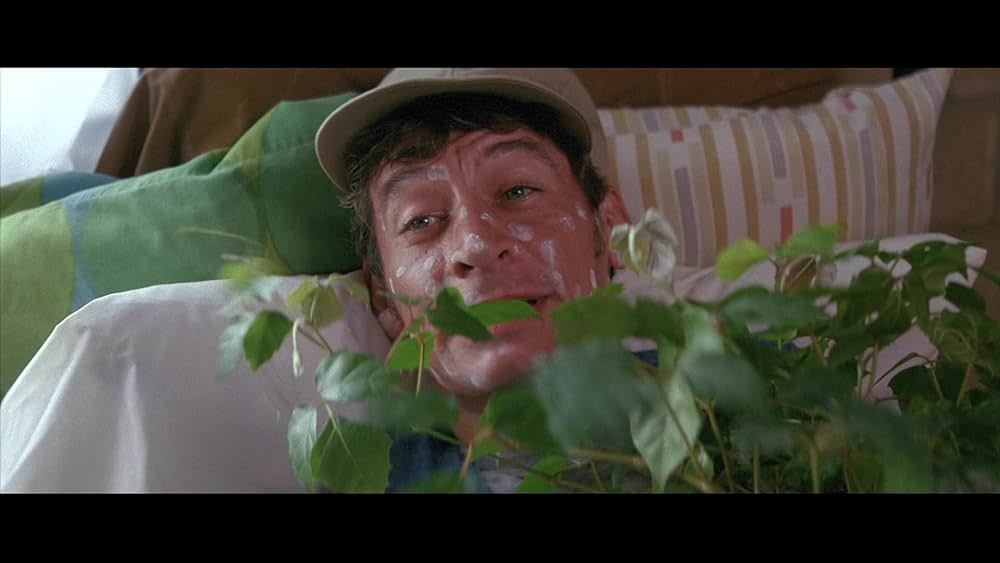 アーネスト キャンプに行く！の画像