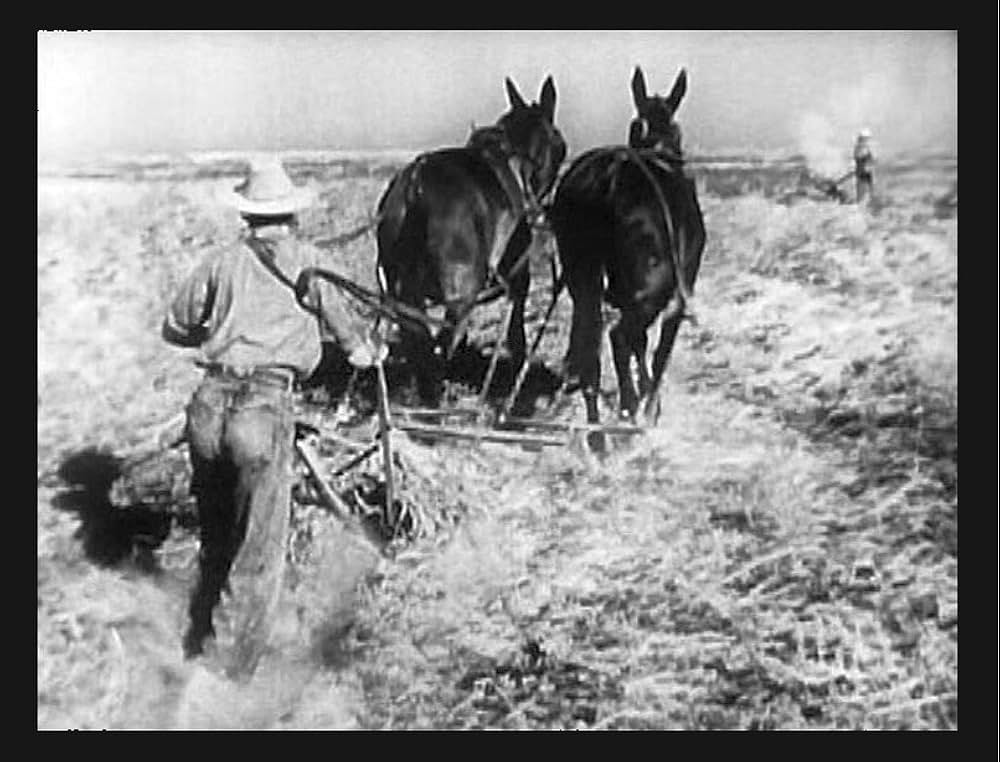 南部の人の画像