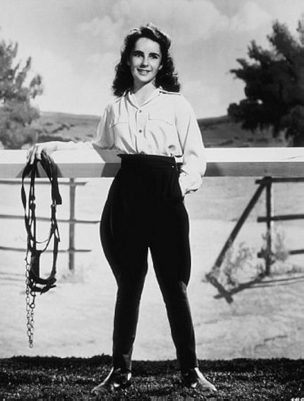 「緑園の天使」の画像