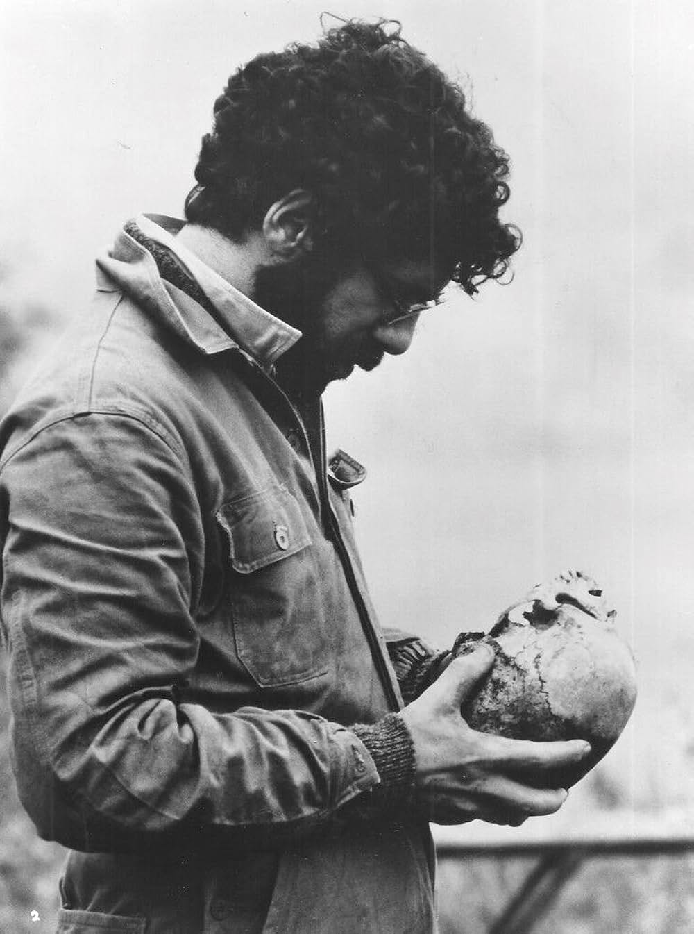 愛のさすらいの画像