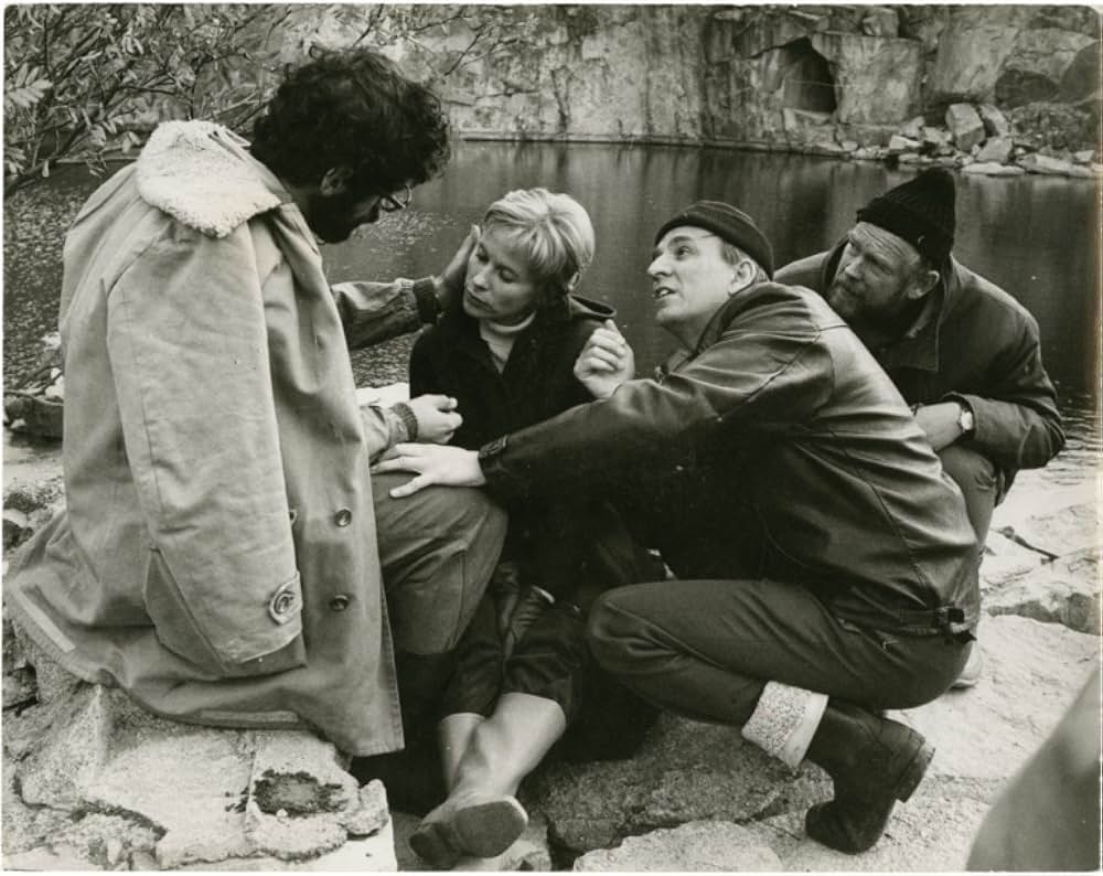 愛のさすらいの画像