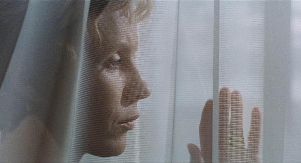 愛のさすらいの画像