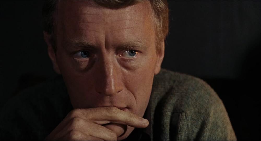 愛のさすらいの画像