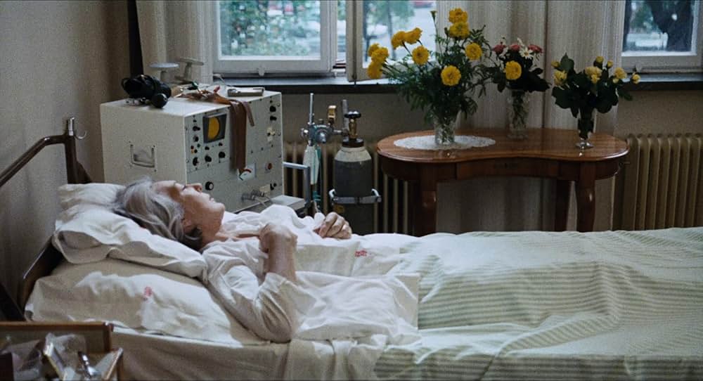 愛のさすらいの画像