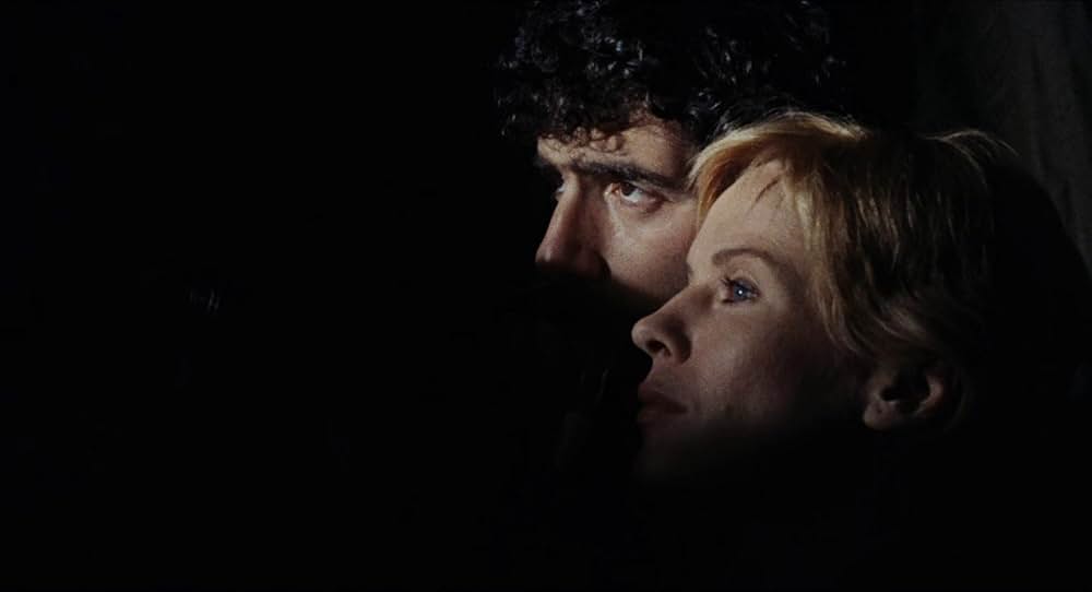 愛のさすらいの画像