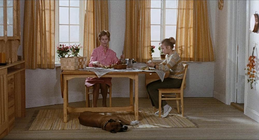 愛のさすらいの画像