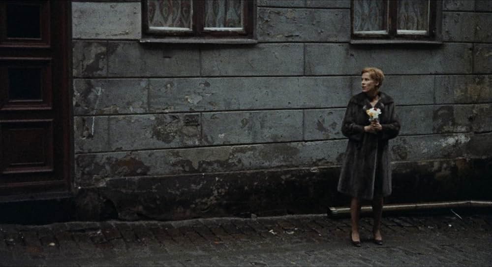 愛のさすらいの画像