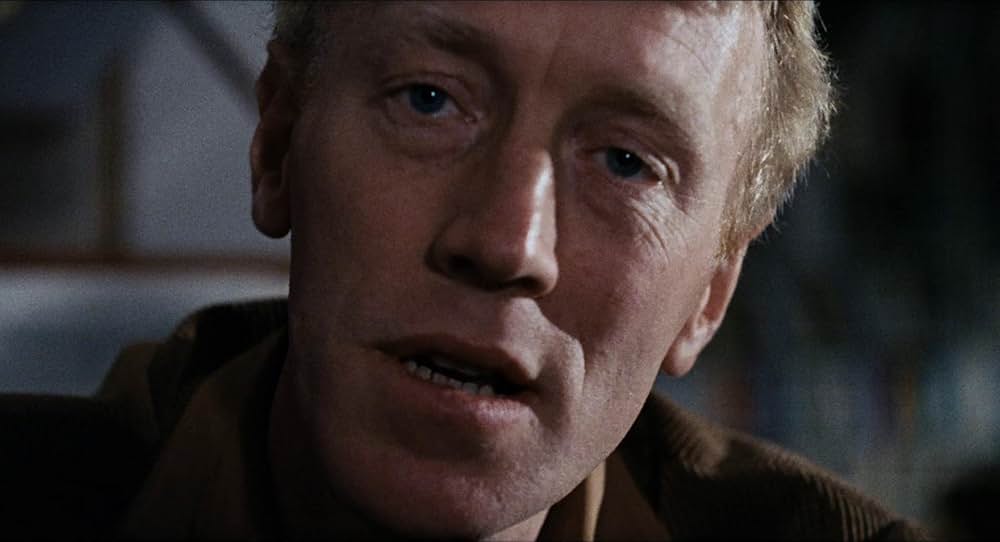 愛のさすらいの画像