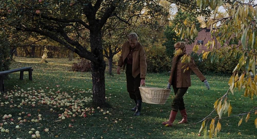 愛のさすらいの画像