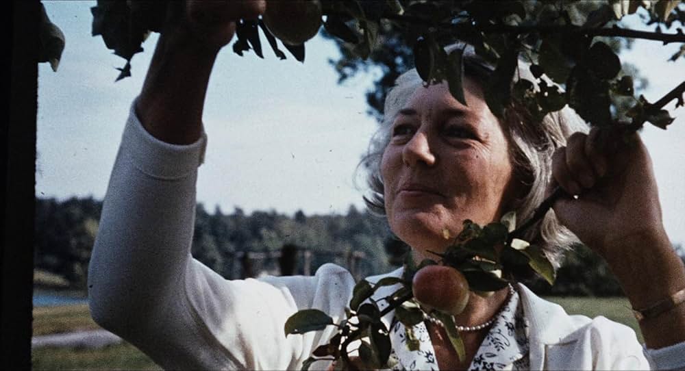 愛のさすらいの画像