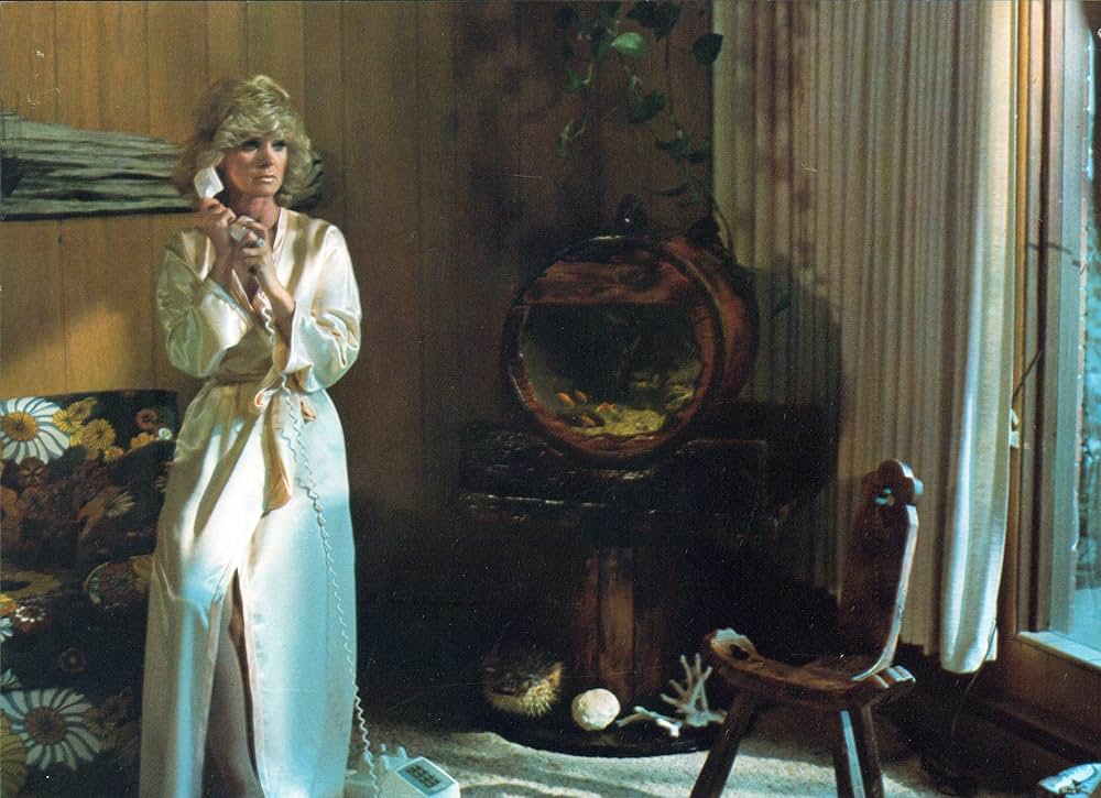 コニー・スティーブンスの 女捜査官の画像