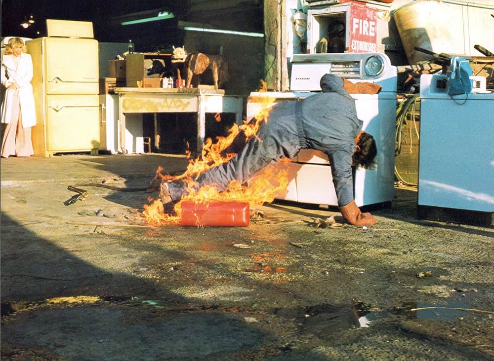 コニー・スティーブンスの 女捜査官の画像