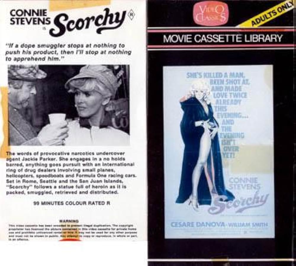 コニー・スティーブンスの 女捜査官の画像