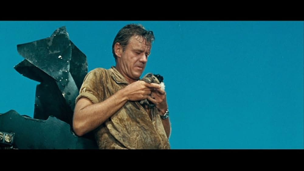 海底世界一周の画像