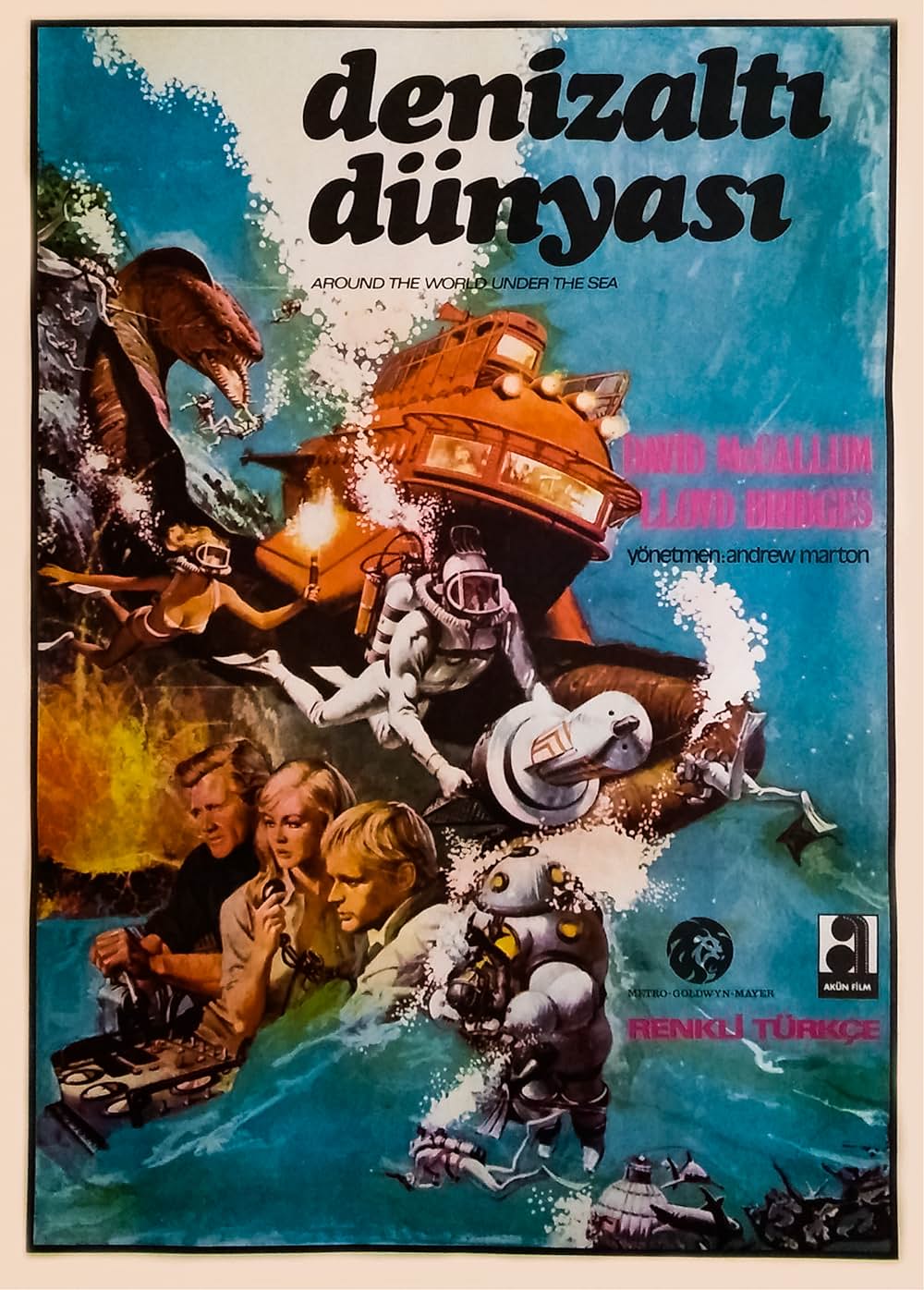 海底世界一周の画像