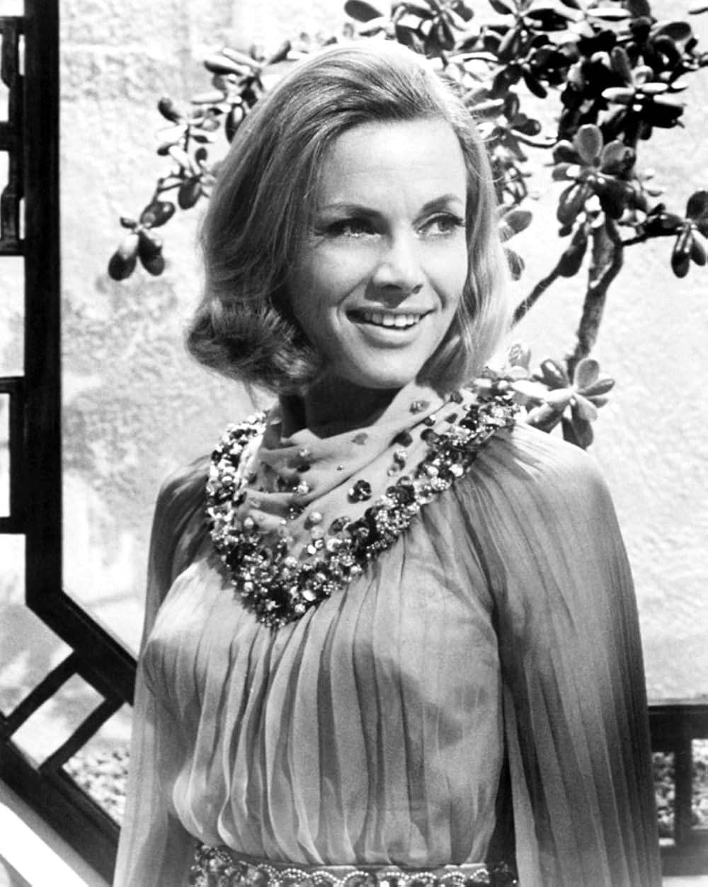 最後の手榴弾の画像