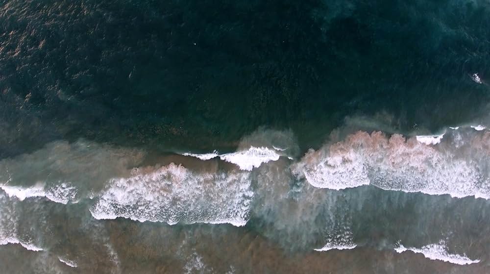 ウロボロスの画像