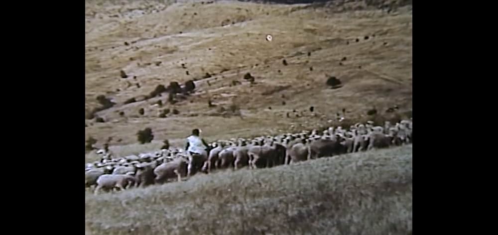 サビーヌの掠奪の画像