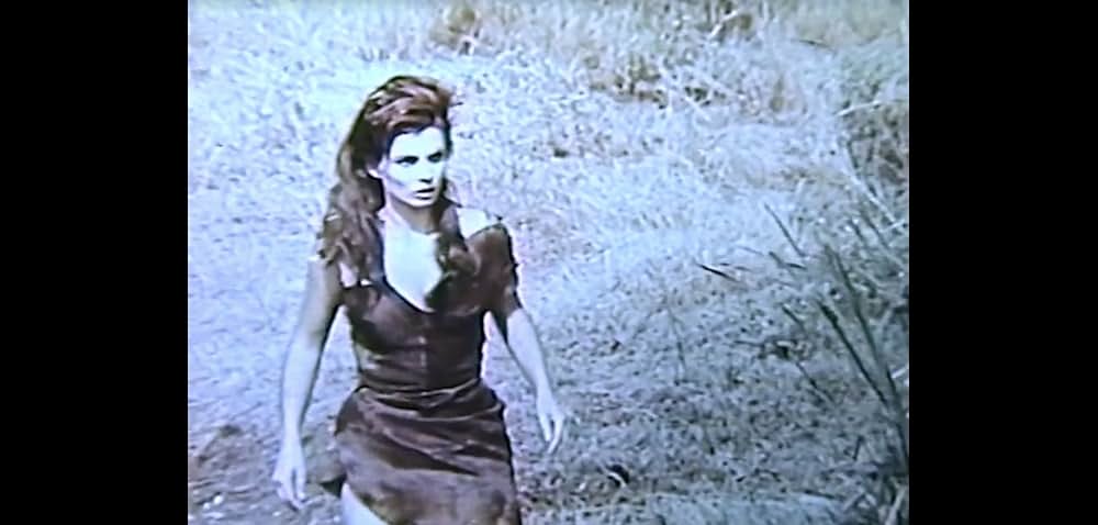 サビーヌの掠奪の画像